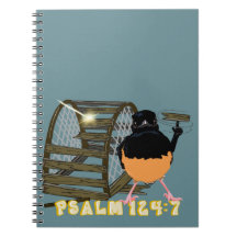 Psalms—White Rumped Shama