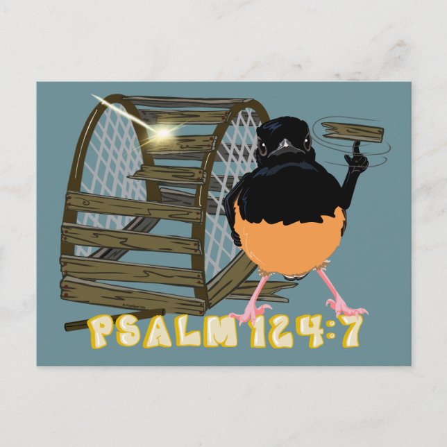 Psalms—White Rumped Shama Postcard (Front)