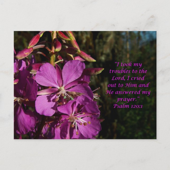 Psaume 120:1 Psaume d'encouragement Carte postale (Devant)