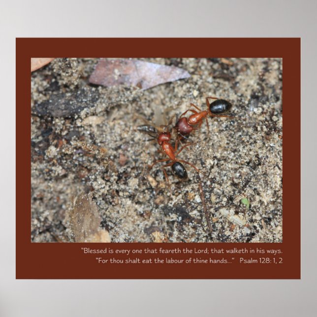 Psaume 128: 1, 2 Ecriture Poster (Devant)