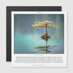 Psaume 1:1-3 Carte magnétique SCRIPIX DE PROSPÉRIT