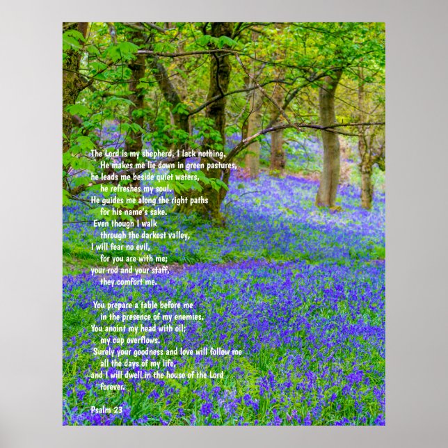 Psaume 91 sur la forêt de bluebells, affiche (Devant)