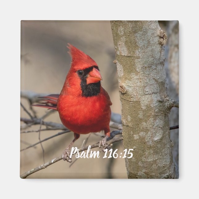 Psaume cardinal rouge 116:15 Magnet (Devant)