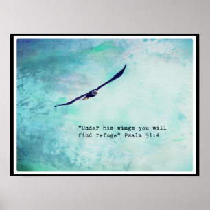 Psaume d'Eagle 91 16"" affiche X12 (mate)