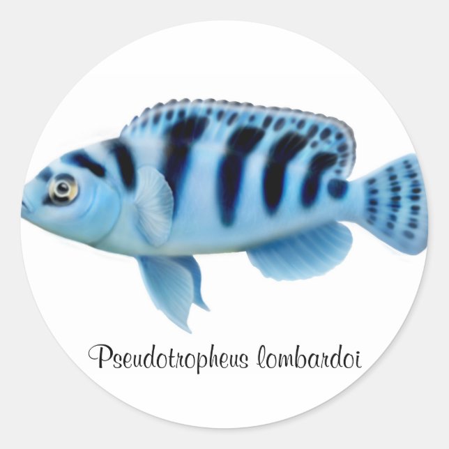 Pseudotropheus lombardoi African Cichlid Sticker (Front)