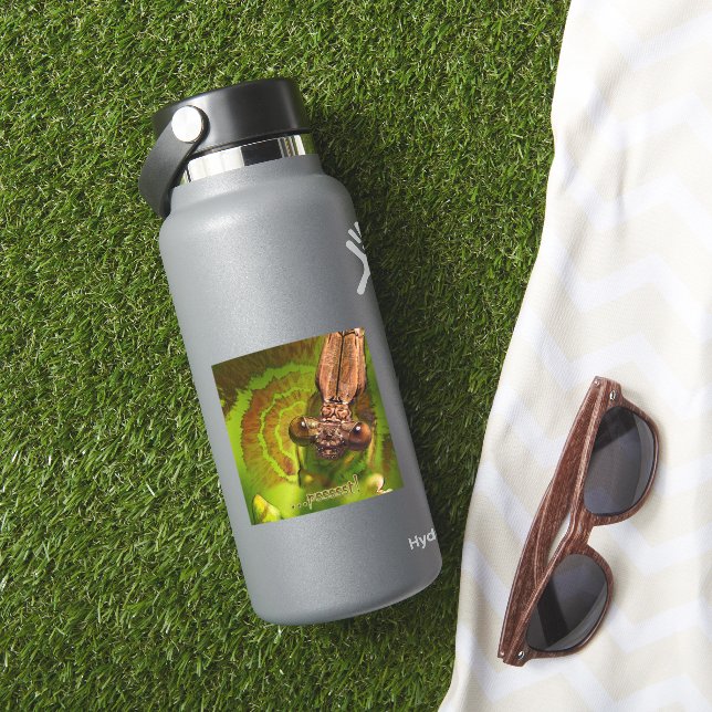 Psssst ! Happy Damselfly Photo Sticker (HydroFlask Insitu)