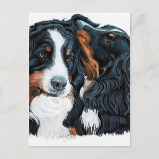 Psssst Postcard