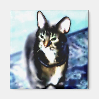 Psychadelic Kitty Magnet