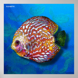 Psychedelic Colourful Exotic Discus Fish Drawing Poster
