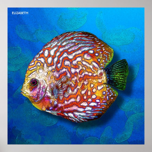 Psychedelic Colourful Exotic Discus Fish Drawing Poster (Front)
