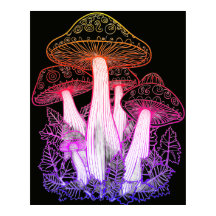 Psychedelic Mushrooms Black Background On a Wall