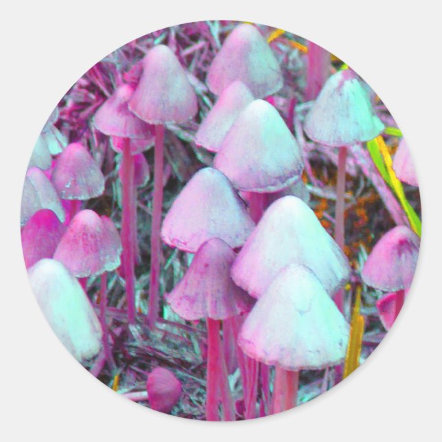 Psychedelic Mushrooms Classic Round Sticker (Front)