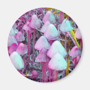 Psychedelic Mushrooms Magnet