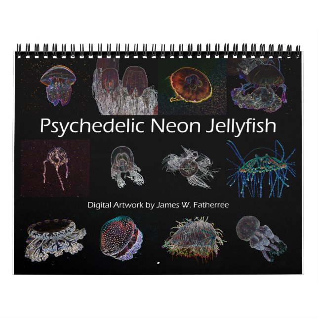 Psychedelic Neon Jellyfish Wall Calendar (Cover)