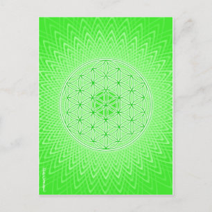Psychedelic Sacred Geometry Heart Chakra Design Postcard