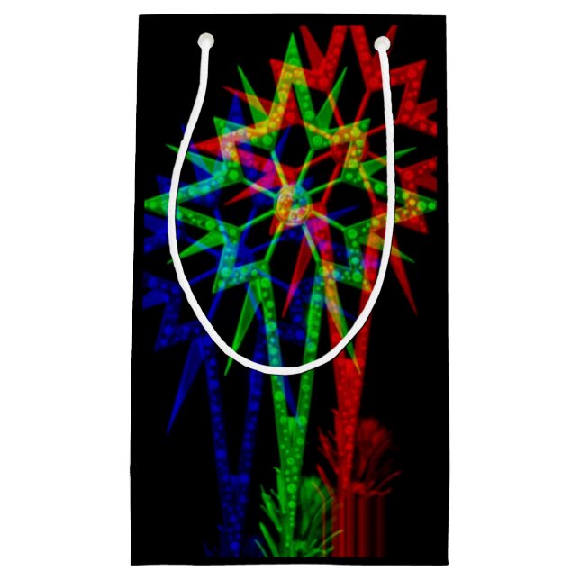Psychedelic Star Gift Bag (Front)