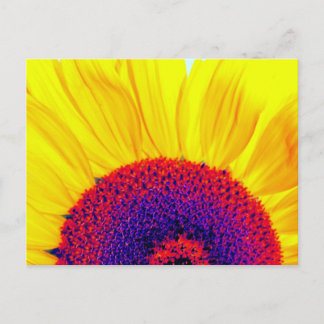 psychedelic sunflower postcard