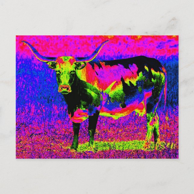Psychedelic Texas Longhorn Cow Postcard (Front)