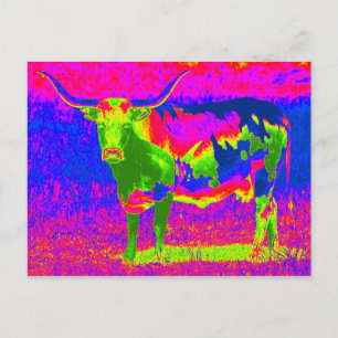 Psychedelic Texas Longhorn Cow Postcard