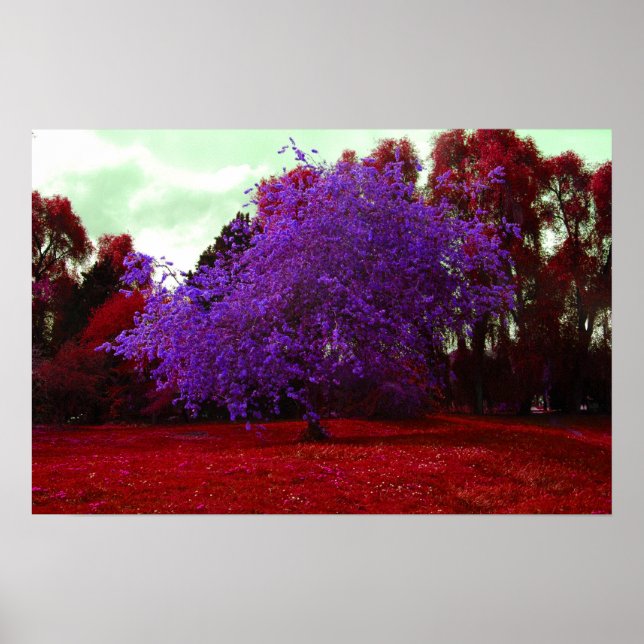 Psychedelic Tree Poster (Front)