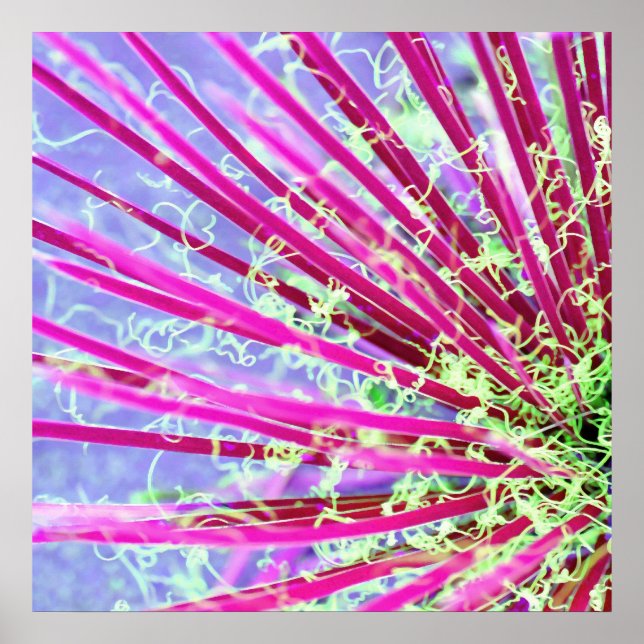 Psychedelic Yucca Abstract Poster (Front)