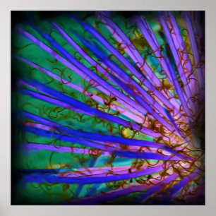 Psychedelic Yucca Inverted Poster