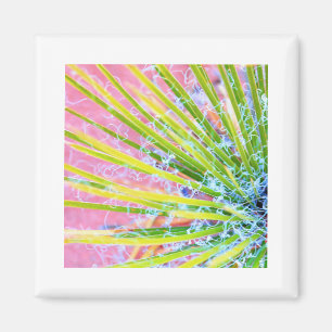 Psychedelic Yucca Magnet