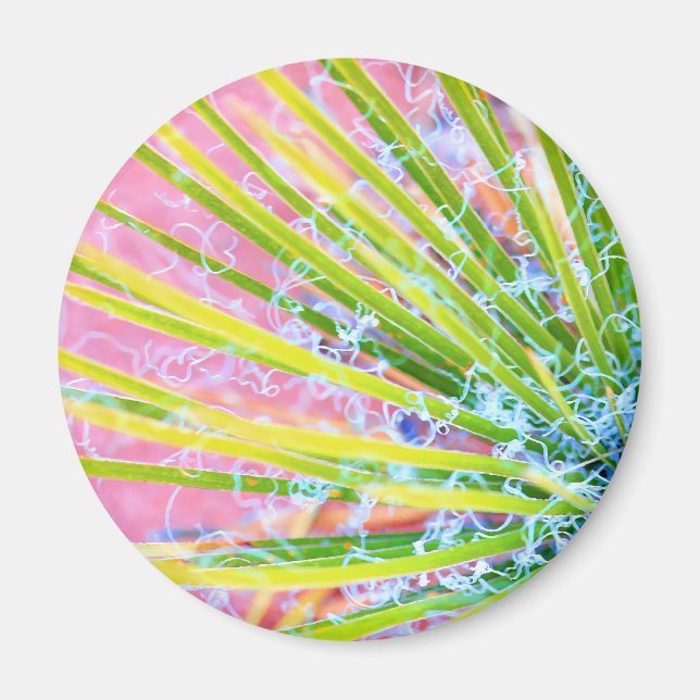 Psychedelic Yucca Magnet (Front)