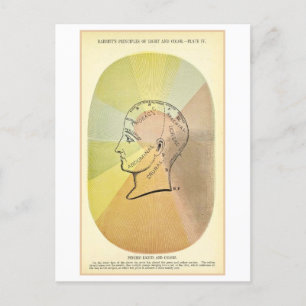 Psychic Lights and Colours Anatomy Diagram Postcard