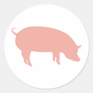 Psychic Pig Euro 2012 Classic Round Sticker