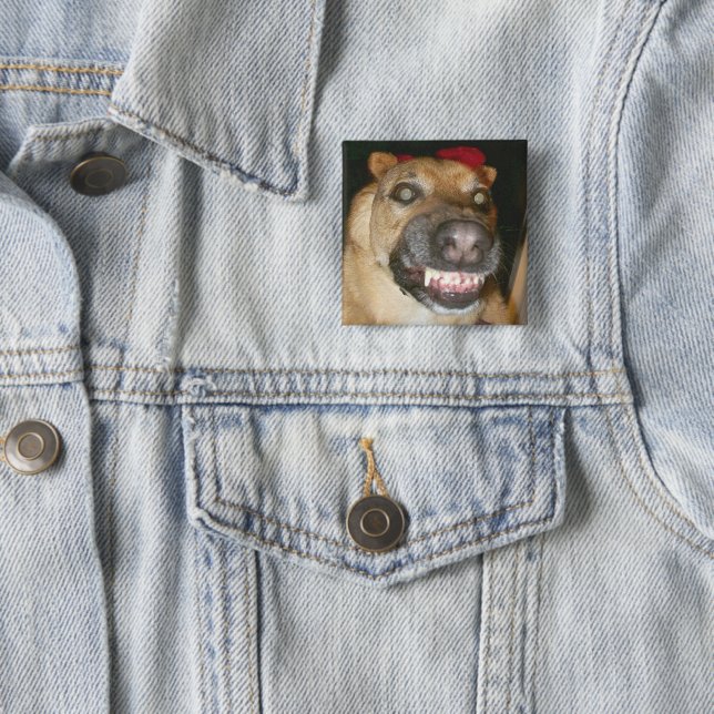 Psycho German Shepherd Dog Scary Evil 2 Inch Square Button (In Situ)