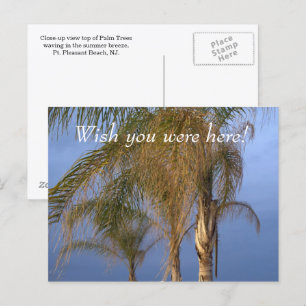Pt. Pleasant NJ Wish you were here! Palm Trees Postcard