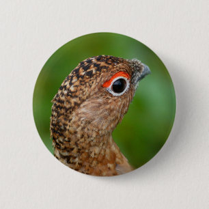 ptarmigan 2 inch round button