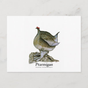 Ptarmigan bird, tony fernandes postcard
