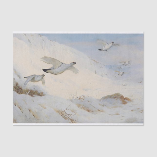Ptarmigan in winter plumage,flying across the snow tissue paper (Front)