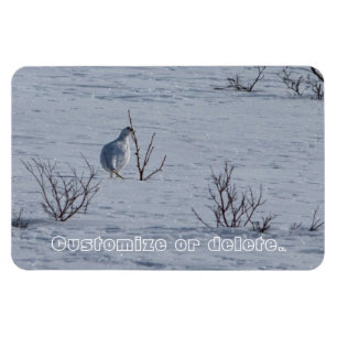 Ptarmigan Snacking; Customizable Magnet