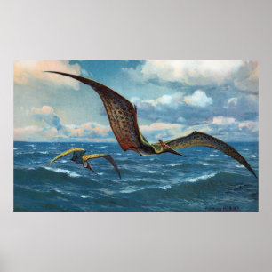 Pteranodon Antique Print