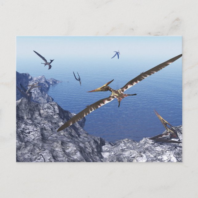 Pteranodon birds - 3D render Postcard (Front)