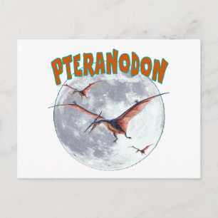 Pteranodon dinosaur postcard