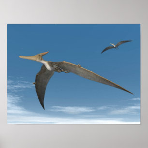 Pteranodon dinosaurs flying - 3D render Poster