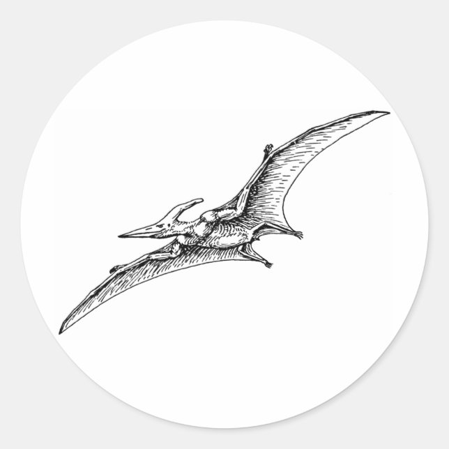 Pterodactyl Classic Round Sticker (Front)