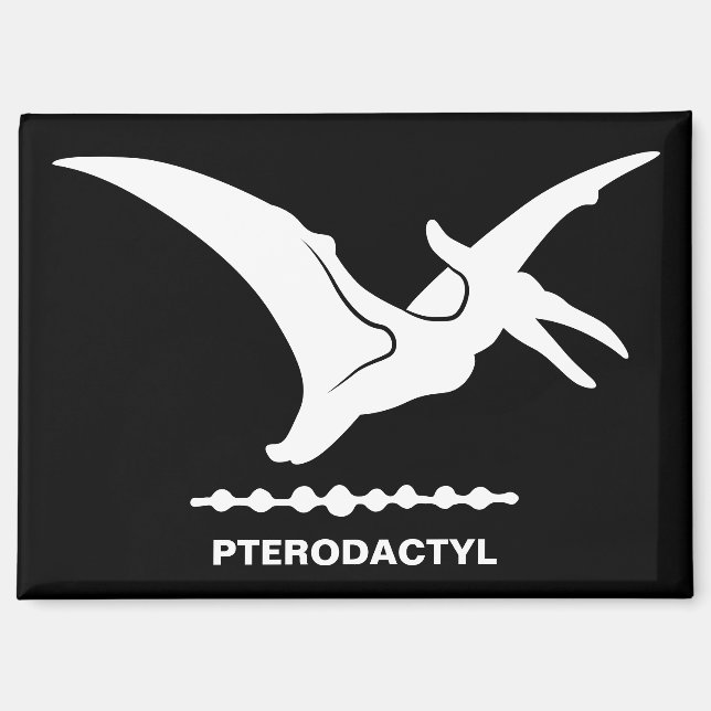 Pterodactyl Dinosaur Silhouette Magnet (Front)