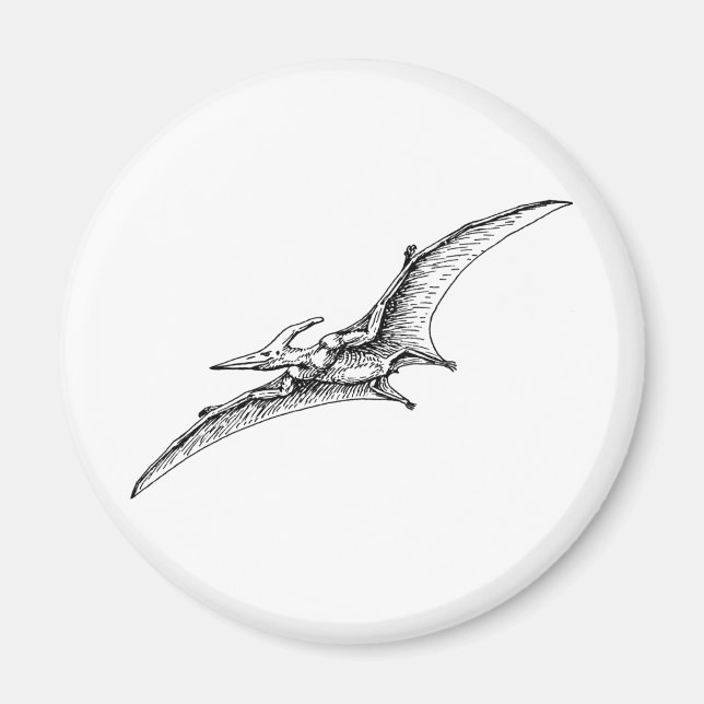 Pterodactyl Magnet (Front)