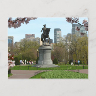 Public Garden Boston Massachusetts Postcard