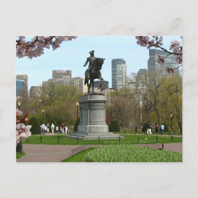 Public Garden Boston Massachusetts Postcard (Front)