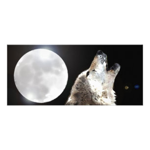 Publicitaire Carte en rack Wolf & Moon