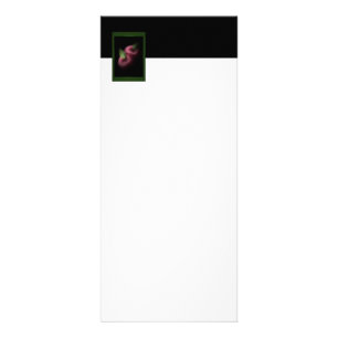 Publicitaire Carte rack Red Apples