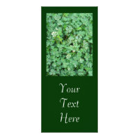 Carte rack "Shamrock blanc et vert" personnalisabl