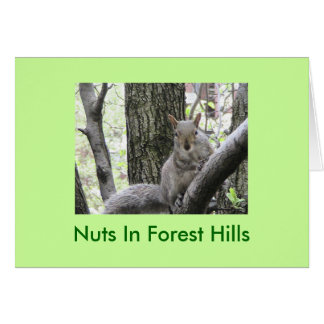 Pucci Strikes a pose, Nuts In Forest Hills