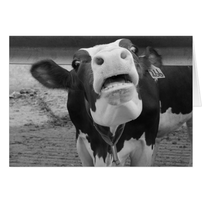 Pucker Up! (Front Horizontal)